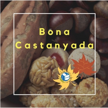 💙🖤🌰🌰🌰💙🖤 US VOLEM DESITJAR UNA MOLT BONA CASTANYADA 💙🖤🌰🌰🌰💙🖤 - Club Volei La Palma