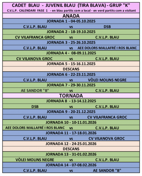 TIRA CONJUNTA CADET / JUVENIL BLAU - Club Volei La Palma