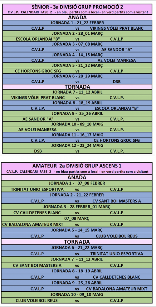 SÈNIOR // AMATEUR - Club Volei La Palma