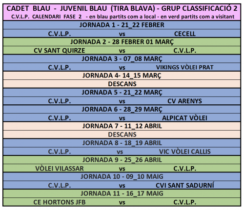 TIRA CONJUNTA CADET // JUVENIL BLAU - Club Volei La Palma
