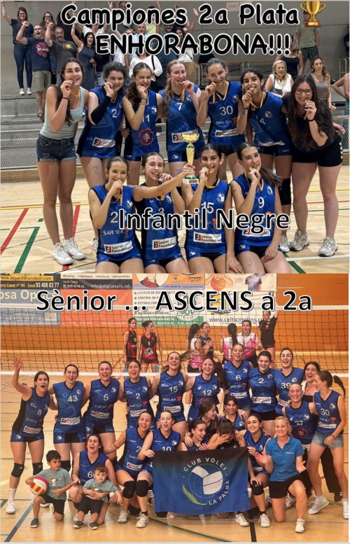 πππͺπΌππ€ FASES FINALS πππͺπΌππ€ - Club Volei La Palma